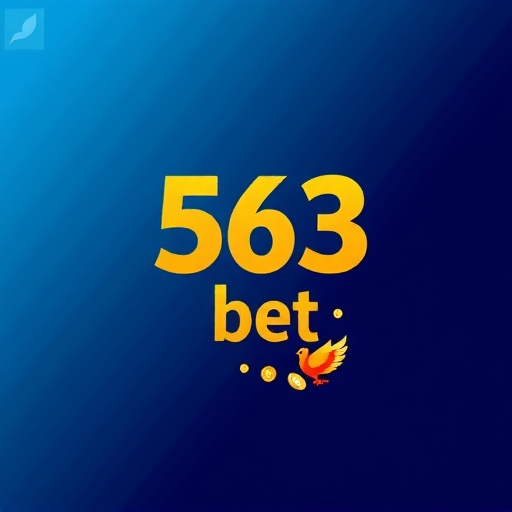 563 bet apostas